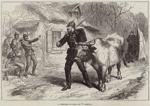 Un Prisionero de Guerra